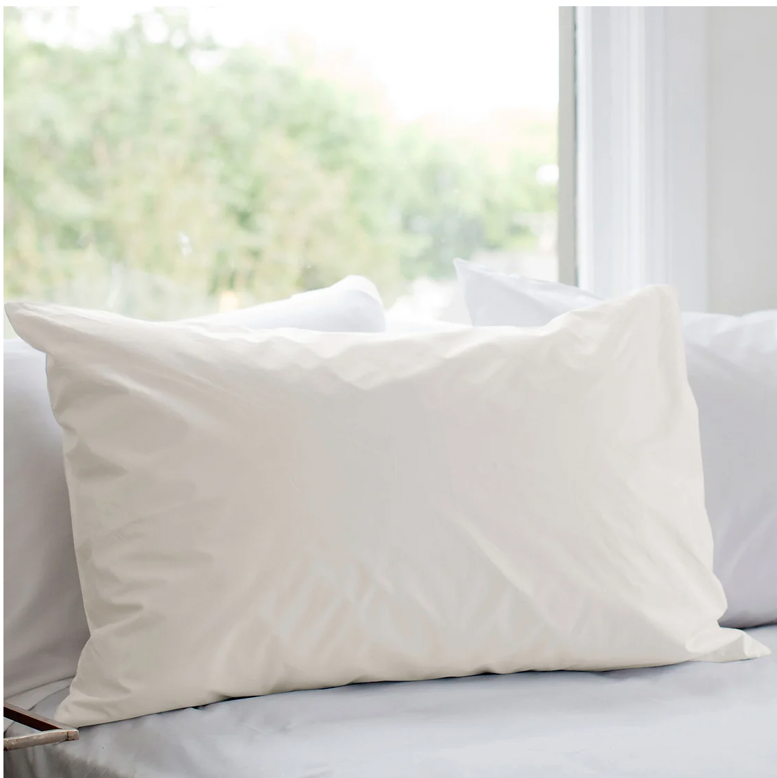 Certified Organic Pillow Protector