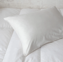 ION Pillow Protector Silver