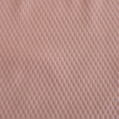 Delano Rose Blush Microfiber Shower Curtain/Liner