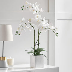 White Orchid 3 Stem Potted Faux Floral
