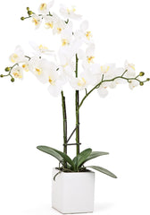 White Orchid 3 Stem Potted Faux Floral