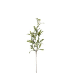 Medium Mistletoe Branch