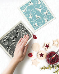 The Amazing Swedish Dishcloth Ice Skates
