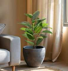 Rubber Tree Faux Potted Plant 29”