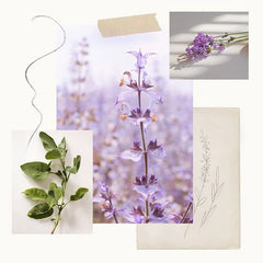 Thymes Lavender Home Fragrance Mist Spray