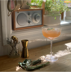 pt One Part Co. Rossa Mimosa Cocktail/Mocktail Infusion