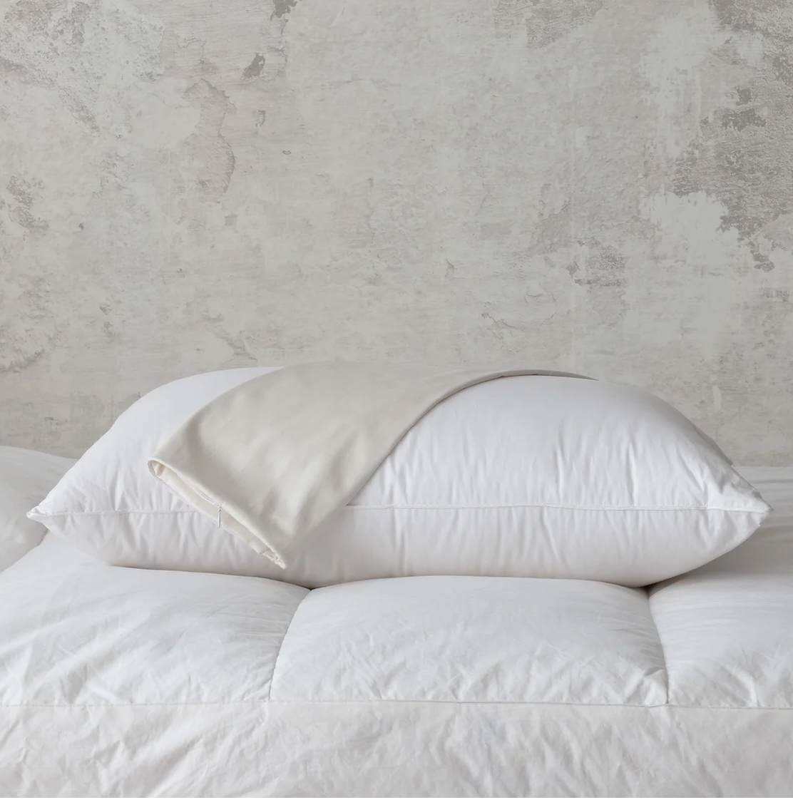 ION Pillow Protector Silver