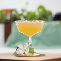 One Part Co Garden Gimlet Cocktail/Mocktail Infusion
