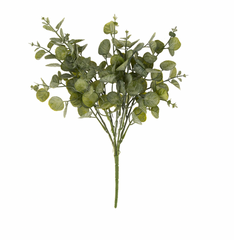 Green Eucalyptus Spray