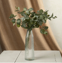 Green Eucalyptus Spray