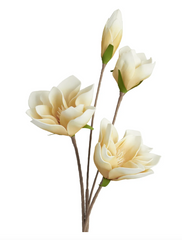 Desert 4 Bloom Magnolia Stem Yellow 41"L
