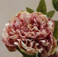Peony Floral Stem Shade Blush