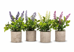 Woodhill Single Spiky Potted Plant 8" Assorted Colours