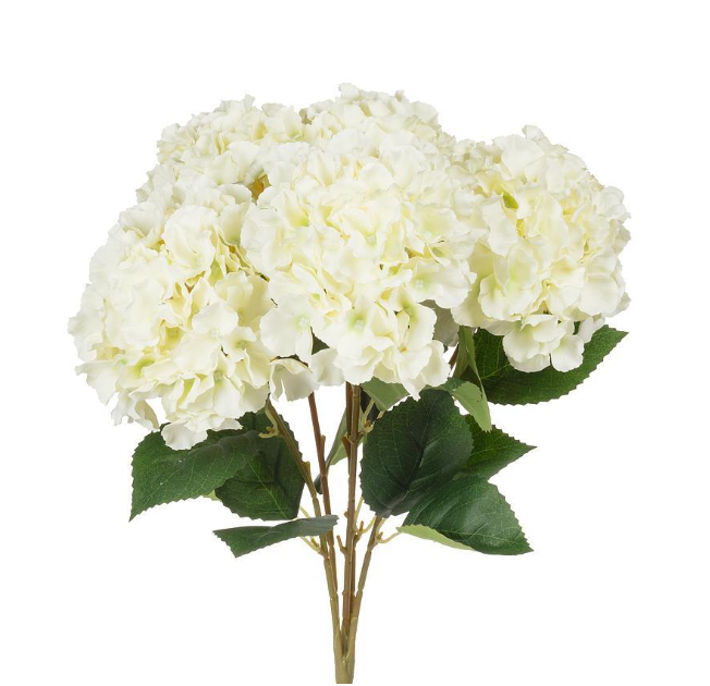 Large 5 Stem Hydrangea Shade White