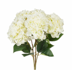 Large 5 Stem Hydrangea Shade White