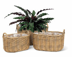 Oval Basket with Handles