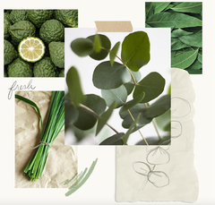 Thymes Eucalyptus Aromatic Candle 7.5 oz