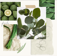 Thymes Eucalyptus Travel Gift Set with Beauty Bag