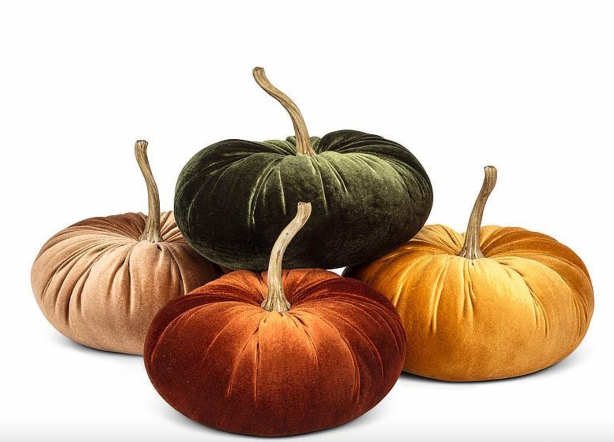 Velour Large Velvet Pumpkin Assorted Shades Velvet