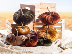 Velour Large Velvet Pumpkin Assorted Shades Velvet