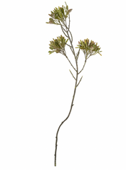Wild Flower Spray Green