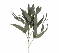 Willow Greenery Stem 29" Soft Green