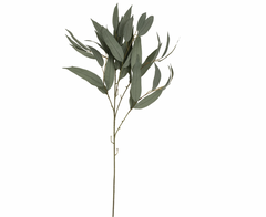 Willow Greenery Stem 29" Soft Green