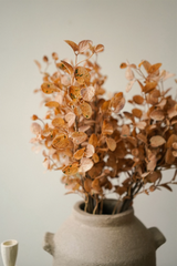 Dried Eucalyptus Bouquet Brown 23"