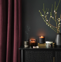 Illume Blackberry Absinthe Baltic Glass Candle