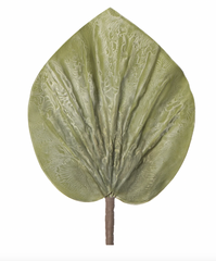 Desert Round Crinkle Leaf Stem