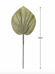 Desert Round Crinkle Leaf Stem