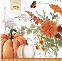 Michel Design Works Pumpkin Delight Set of 2 Tea Towels