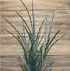 Thistle Bush Green 31"