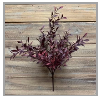 Burgundy Willow Leaves Bush 18"
