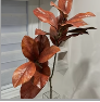 Red Magnolia Spray 45"