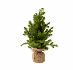 Faux Cedar Tabletop Tree 12"