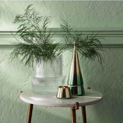Illume Glass Green Tree Balsam & Cedar