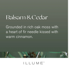 Illume Glass Green Tree Balsam & Cedar