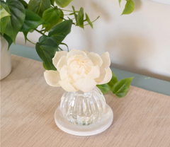 Greenleaf Cashmere Kiss Flower Diffuser