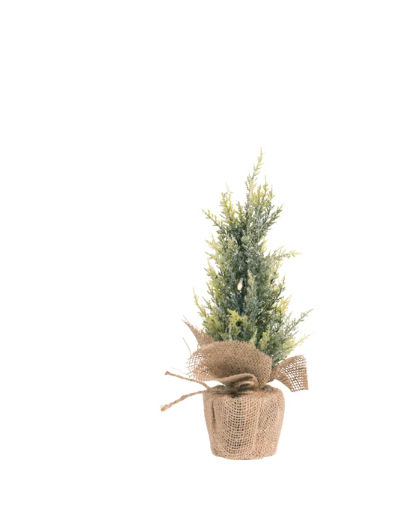 Northern LED Frosted Small Tree 14" x 3"D