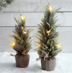 Northern LED Frosted Small Tree 14" x 3"D