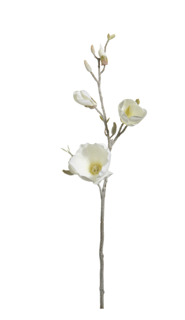 Iced Magnolia Branch 32"