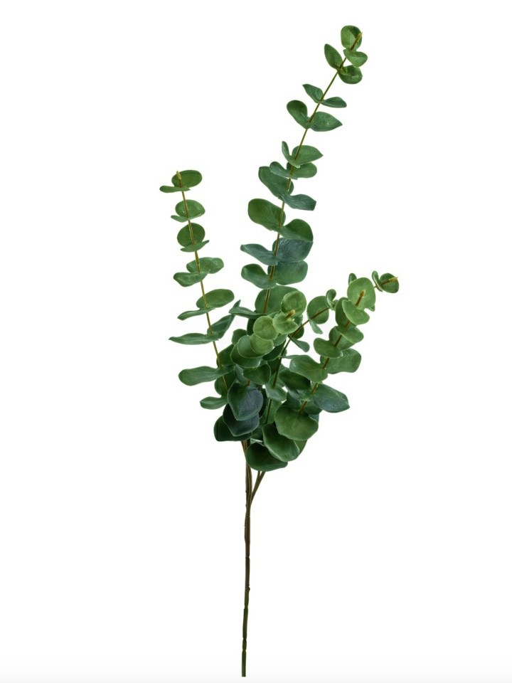 Eucalyptus Spray Stem 39"