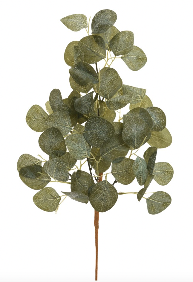 Eucalyptus Spray Green 22"