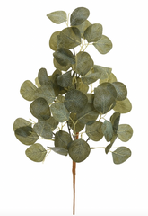 Eucalyptus Spray Green 22"