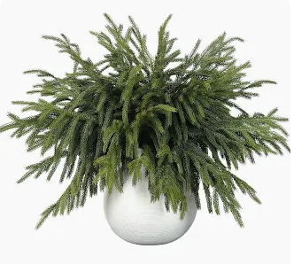 Real Touch Norfolk Pine Branches