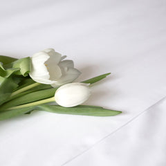 Sintra Duvet Cover & Shams