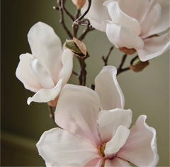 Thymes Magnolia Willow Hand Wash