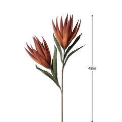 Desert Bird of Paradise 2 Bloom Stem - Orange/Red