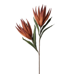 Desert Bird of Paradise 2 Bloom Stem - Orange/Red